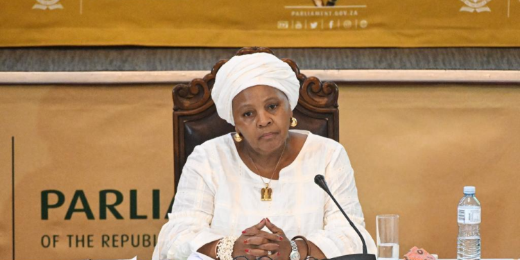 Démission de la présidente de l’Assemblée nationale sud-africaine sur fond d’enquête pour corruption