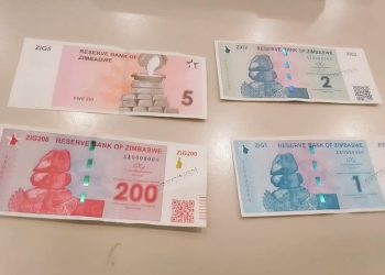 Ce que l’on sait du ZiG, nouvelle monnaie zimbabwéenne