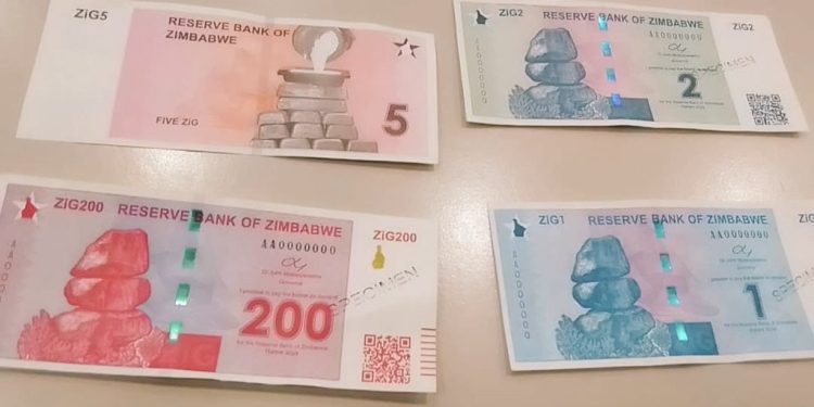 Ce que l’on sait du ZiG, nouvelle monnaie zimbabwéenne
