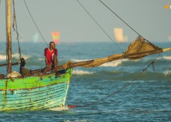 Des pays africains et la Russie étudieront les stocks de poissons au large de l’Afrique, selon Poutine