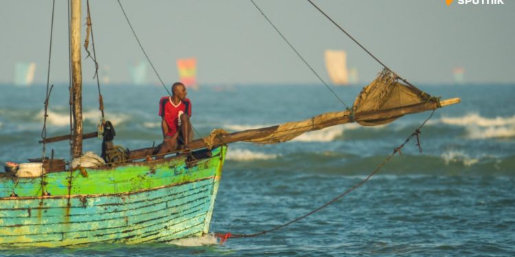 Des pays africains et la Russie étudieront les stocks de poissons au large de l’Afrique, selon Poutine