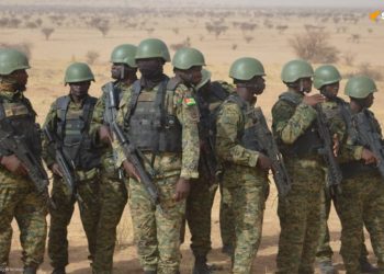 Les pays de l’AES, le Togo et le Tchad ont lancé des exercices militaires d’envergure au Niger