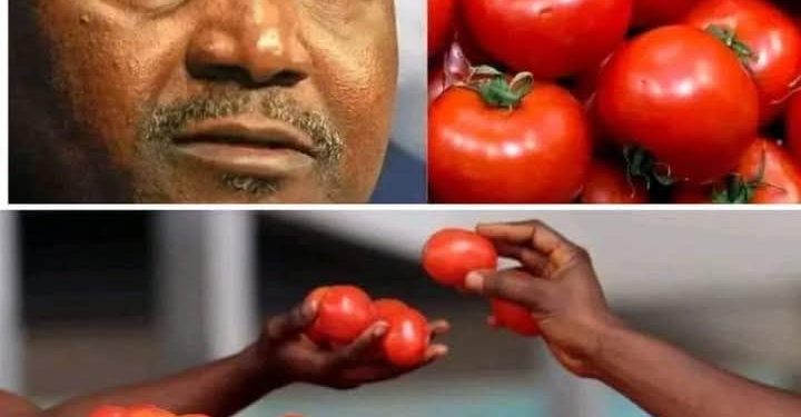 Le Nigeria consomme environ 2,3 millions de tonnes de pâte de tomate chaque année
