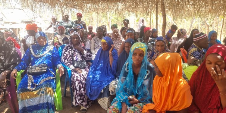 Tanènè Fribadé/ CR Kouriah : Manque des Ponts et routes, cette localité agro-pastorale est coupée de la Guinée pendant la saison pluvieuse.