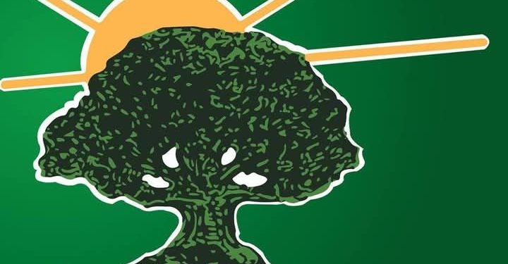 Congrès électif de l’UFDG : la décision du tribunal de première instance de Dixinn attendu le 9 mais prochain !