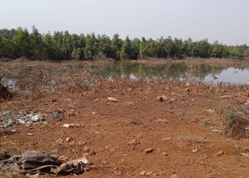 Impact environnemental. Sombe / CU Manéah : La population accuse l’usine qui fabrique le jus Energie à Gomboyah, d’avoir pollué le bras de mer qui a un impact direct sur la santé humaine et d’autres espèces de l’écosystème.