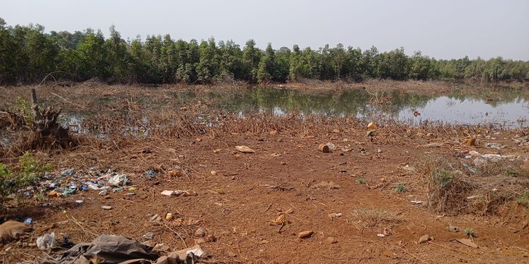 Impact environnemental. Sombe / CU Manéah : La population accuse l’usine qui fabrique le jus Energie à Gomboyah, d’avoir pollué le bras de mer qui a un impact direct sur la santé humaine et d’autres espèces de l’écosystème.