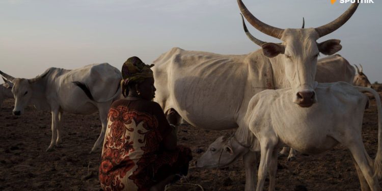 Le vol de bétail, un des plus grands fléaux en Afrique de l’Ouest