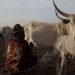 Le vol de bétail, un des plus grands fléaux en Afrique de l’Ouest