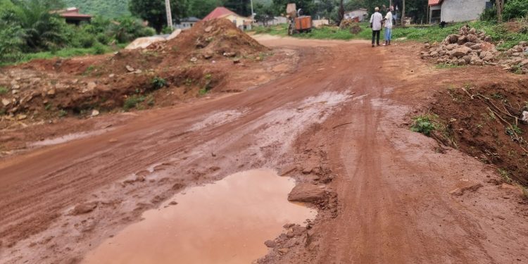 Transport : Le tronçon Dubreka-Faléssadé risque d’être coupé dans deux semaines.