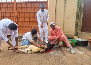  Tabaski 2025 Kobayah : Le chef de quartier de Kinifi s’est acquitté de son devoir religieux.