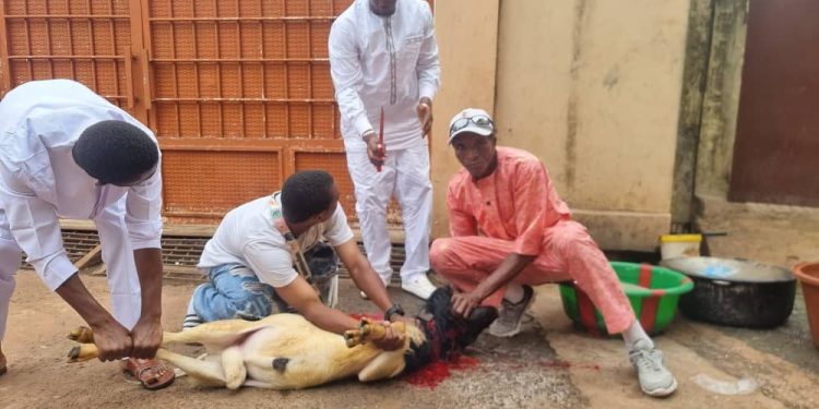 Tabaski 2025 Kobayah : Le chef de quartier de Kinifi s’est acquitté de son devoir religieux.