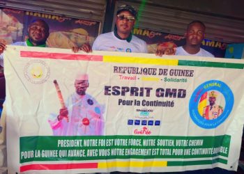 STRUCTURE DE COMMUNICATION : ESPRIT GÉNÉRAL MAMADI DOUMBOUYA POUR LA CONTINUITÉ (EGMDC) 