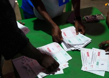 La nouvelle Constitution validée en Guinée