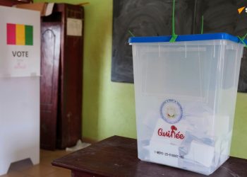 En Guinée, 9 candidats à l’élection présidentielle officiellement retenus