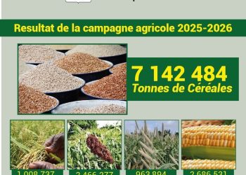 Le Burkina Faso enregistre des records historiques dans l’agriculture