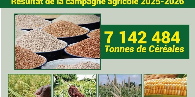 Le Burkina Faso enregistre des records historiques dans l’agriculture