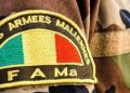 Au Mali, les FAMa frappent de nouveau les terroristes