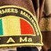 Au Mali, les FAMa frappent de nouveau les terroristes
