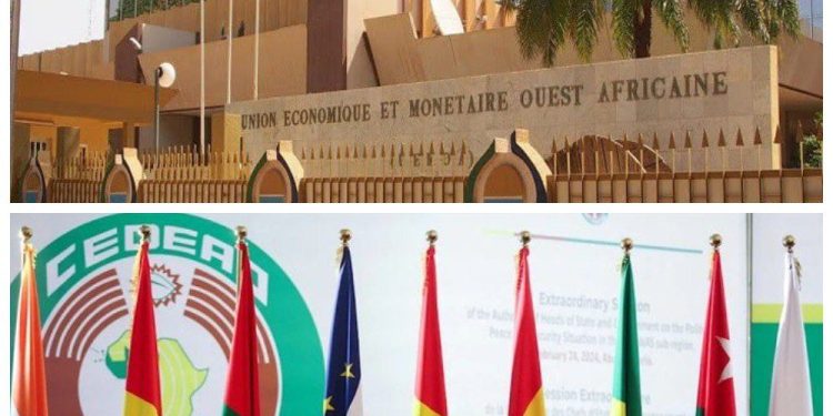 Les cas du Mali et de la Guinée démontrent l’inefficacité des sanctions, selon un expert malien