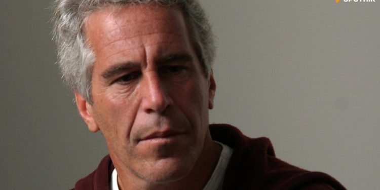 Epstein voulait offrir une nouvelle monnaie au Zimbabwe