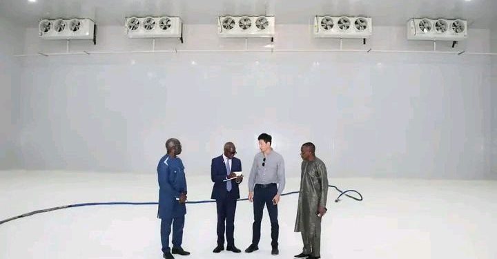 LA CHAMBRE FROIDE DE 10.000 TONNES VIENT D’ÊTRE FONCTIONNELLE..