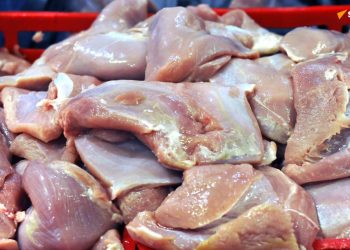 La Russie muscle ses exportations de dinde vers l&rsquo;Afrique