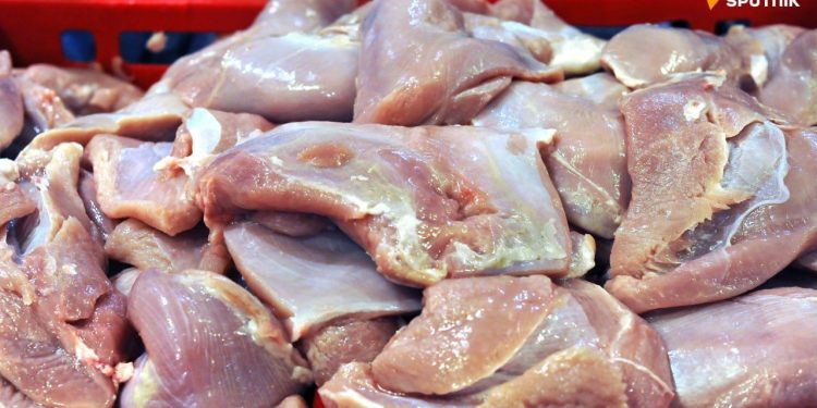 La Russie muscle ses exportations de dinde vers l&rsquo;Afrique