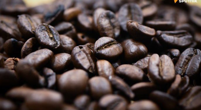 La Chine va autoriser l&rsquo;importation de café en provenance de 53 pays africains à partir du 20 juillet