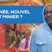 La GUINÉE, nouvel Émirat minier ?